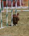 20150614-cckc-1832