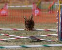 20150614-cckc-1834