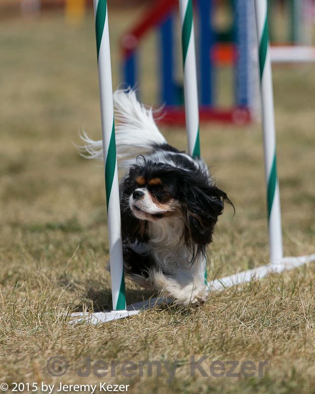 20150614-cckc-1828.jpg