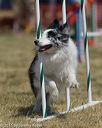 20150614-cckc-1814