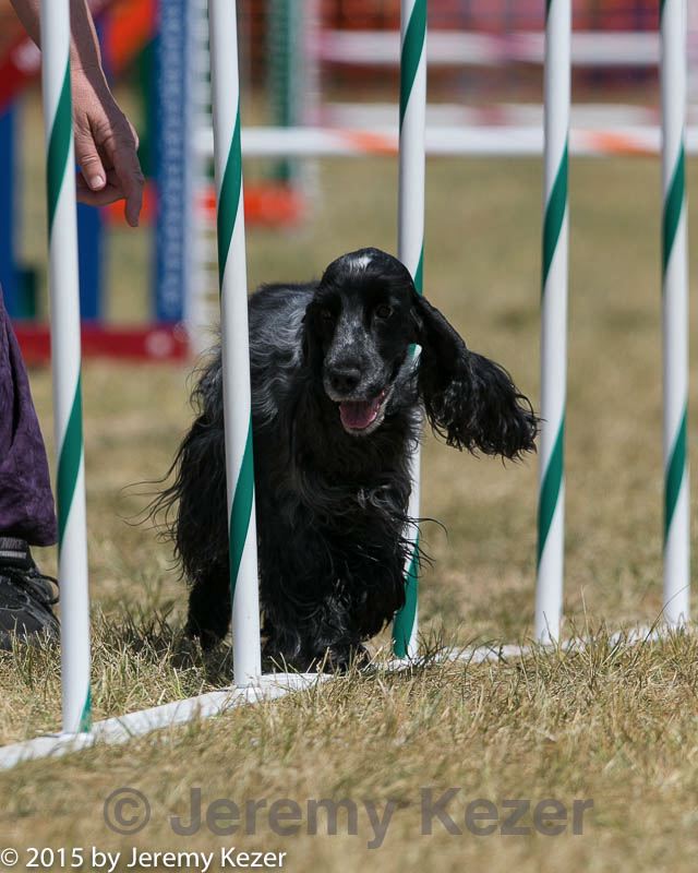 20150614-cckc-1799.jpg