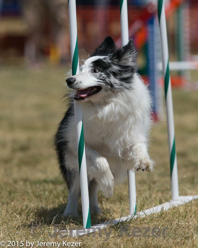 20150614-cckc-1814.jpg