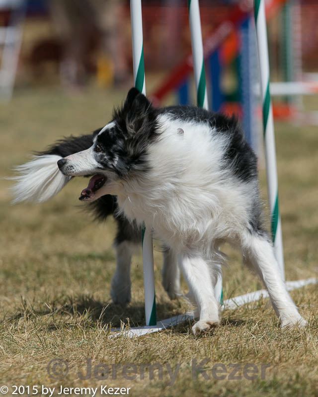 20150614-cckc-1815.jpg