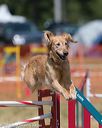 20150614-cckc-1742