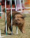 20150614-cckc-1768