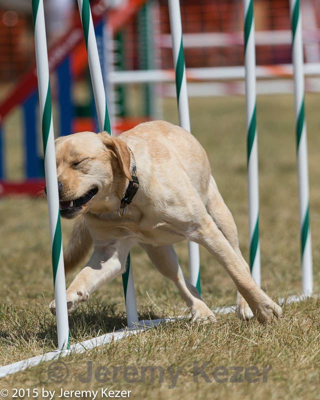 20150614-cckc-1726.jpg