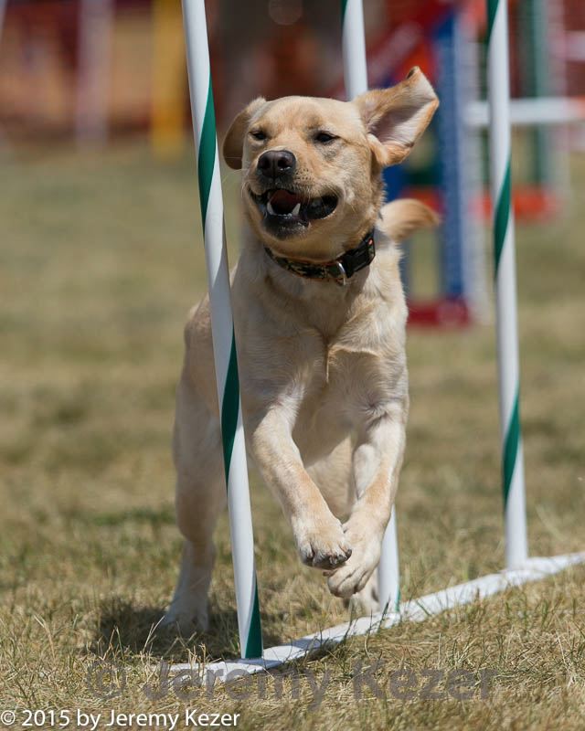 20150614-cckc-1727.jpg