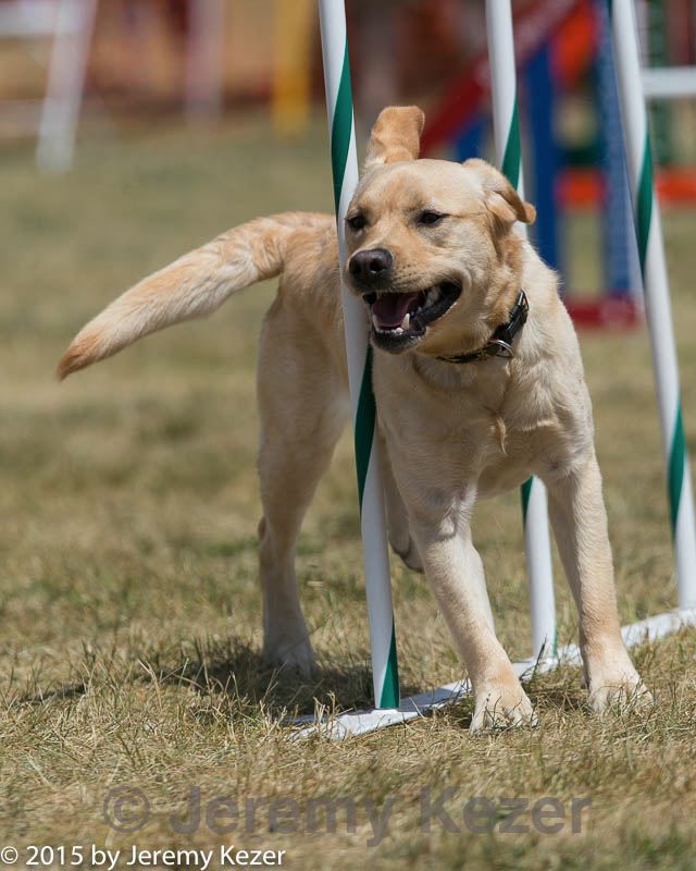 20150614-cckc-1728.jpg