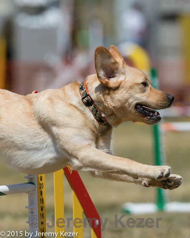 20150614-cckc-1731.jpg