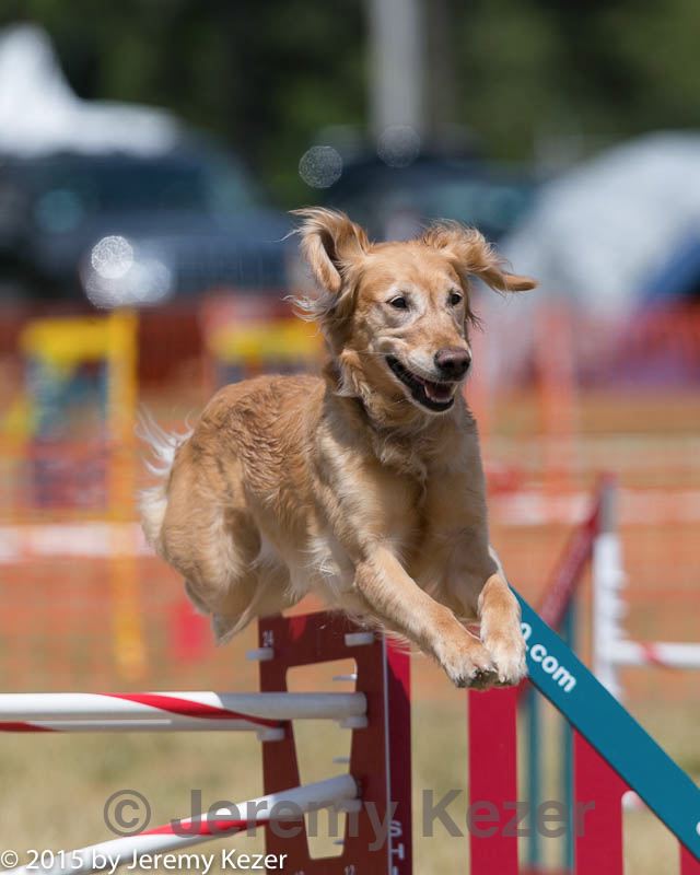 20150614-cckc-1742.jpg