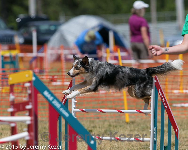 20150614-cckc-1764.jpg