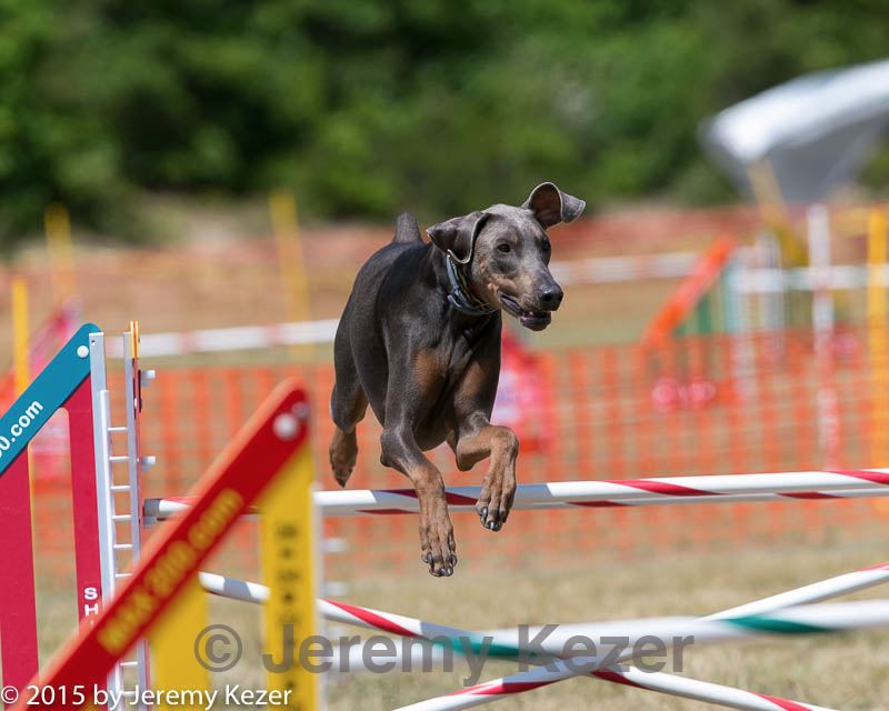 20150614-cckc-1782.jpg
