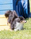 20160514-neat-0991