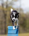 20160514-neat-1090