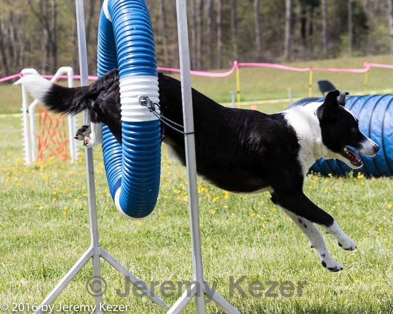 20160514-neat-1085.jpg