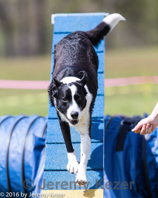 20160514-neat-1091.jpg