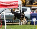 20160514-neat-1121