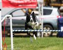20160514-neat-1142