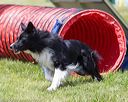 20160514-neat-0717