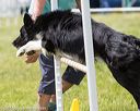 20160514-neat-0718