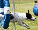 20160514-neat-0934