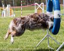 20160514-neat-0948