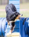 20160514-neat-0970