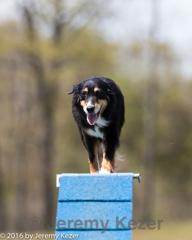 20160514-neat-0963.jpg