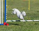 20160514-neat-0020