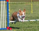 20160514-neat-0040