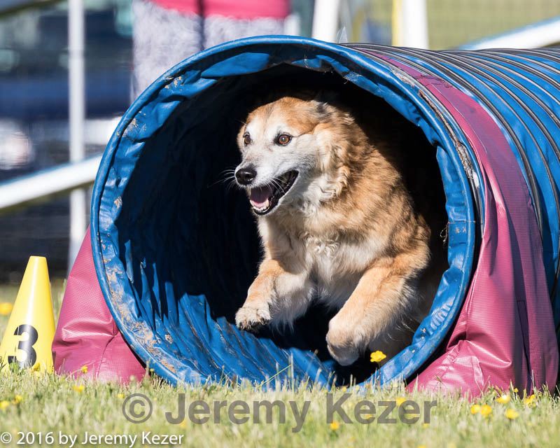 20160514-neat-0078.jpg