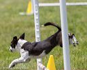 20160514-neat-0653
