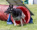 20160514-neat-0631
