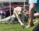 20160514-neat-0565