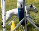 20160514-neat-0786