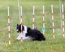 20160515-neat-0450