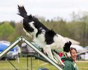 20160515-neat-0378