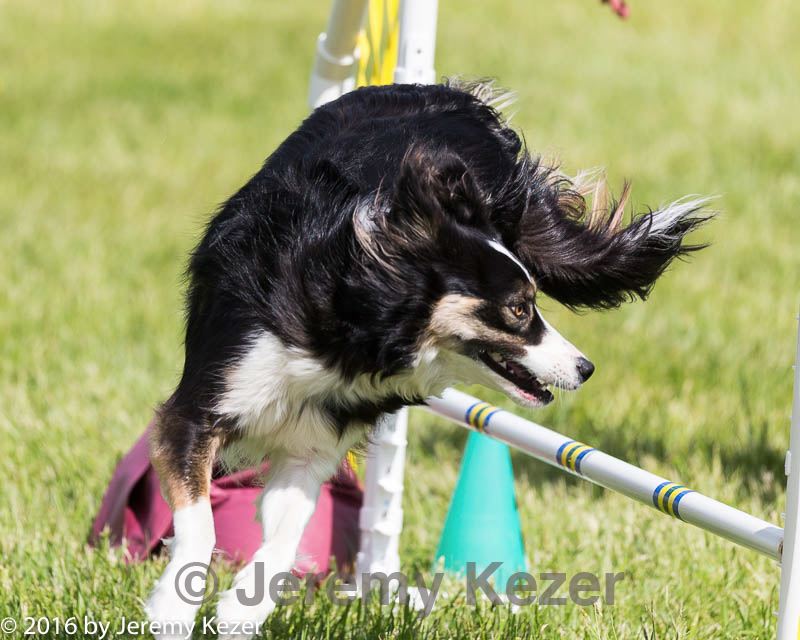 20160515-neat-1718.jpg