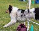 20160515-neat-1683