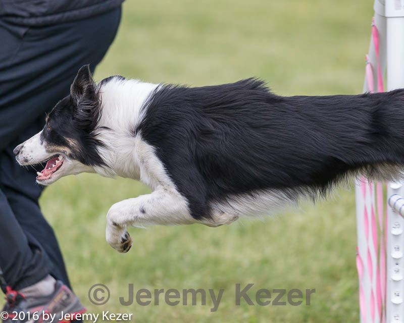 20160515-neat-1677.jpg