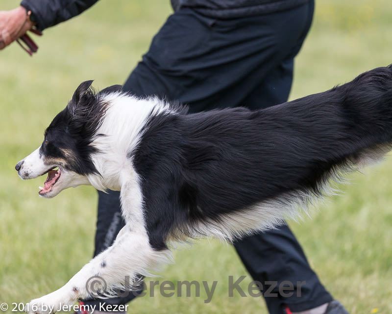 20160515-neat-1678.jpg