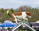 20160515-neat-0278