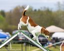 20160515-neat-0281