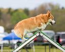 20160515-neat-0293