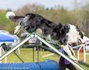 20160515-neat-0224