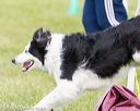 20160515-neat-1625