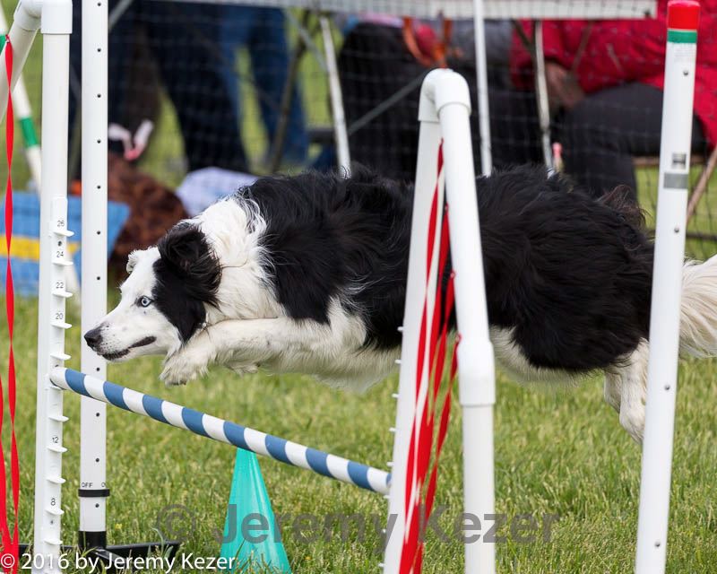 20160515-neat-1613.jpg