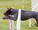 20160515-neat-1556