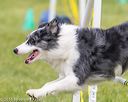 20160515-neat-1599