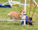 20160515-neat-1314
